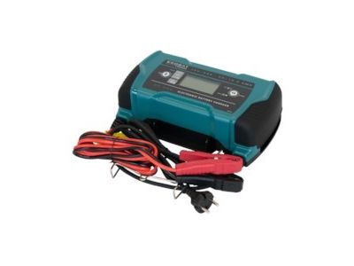 Ecobat 12/24V-25 amp Battery Charger