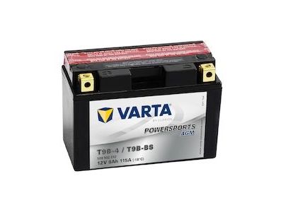 VARTA AGM T9B-4 / T9B-BS